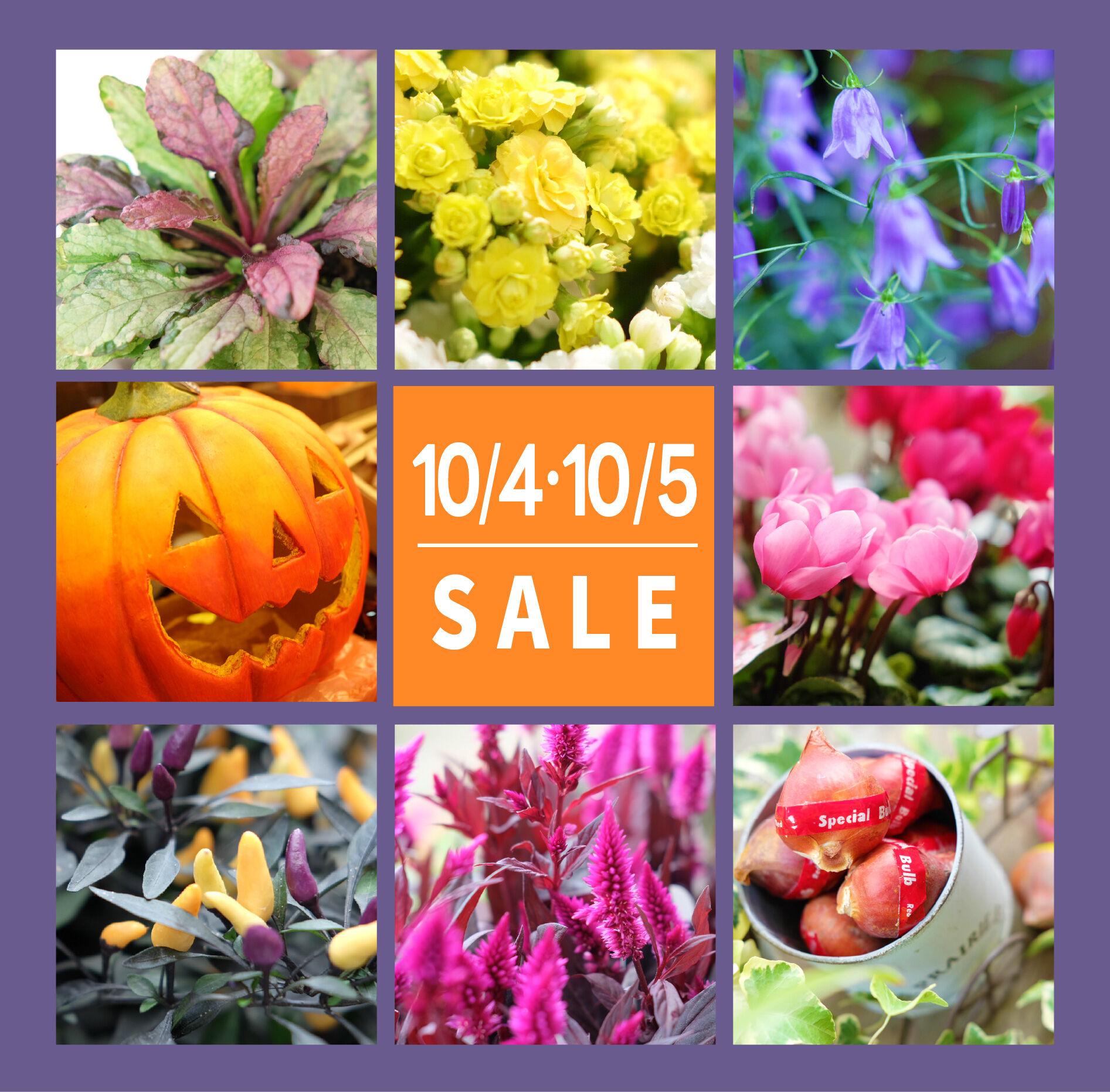 10月4日(土)・5日(日)は月イチSALE！！