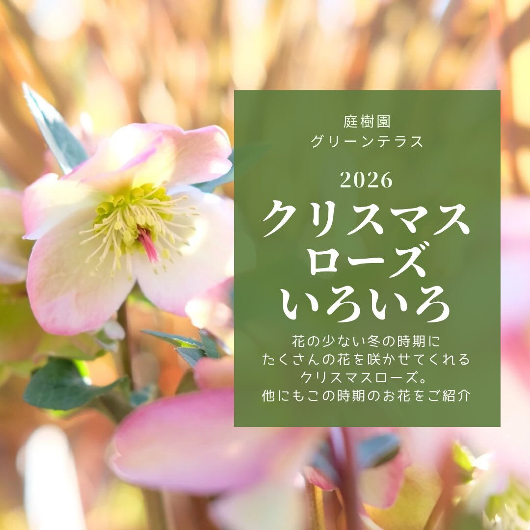 寒い日がまだまだ厳しいこの季節