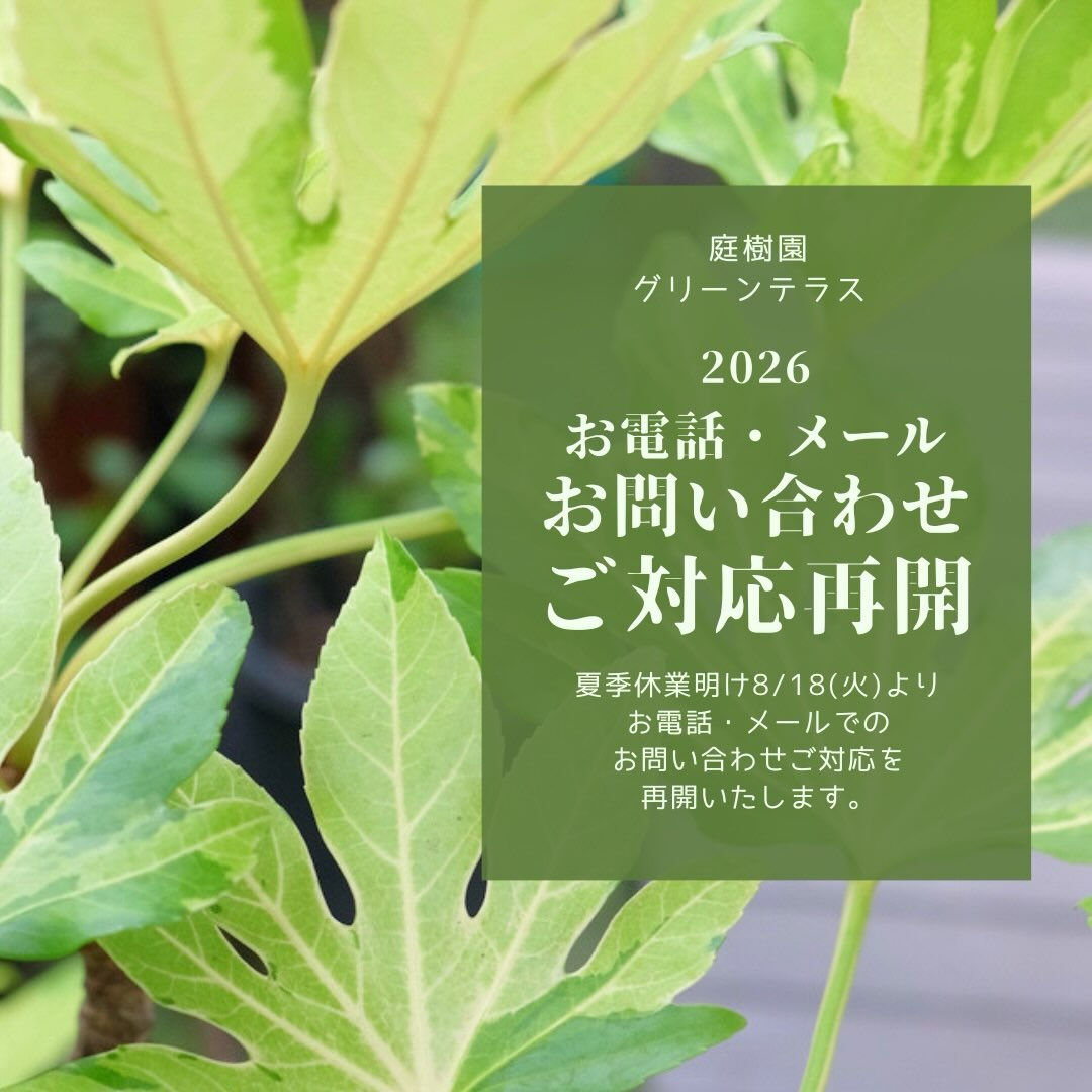 夏季休業明け8/18(火)よりお電話・メールでのお問い合わせ