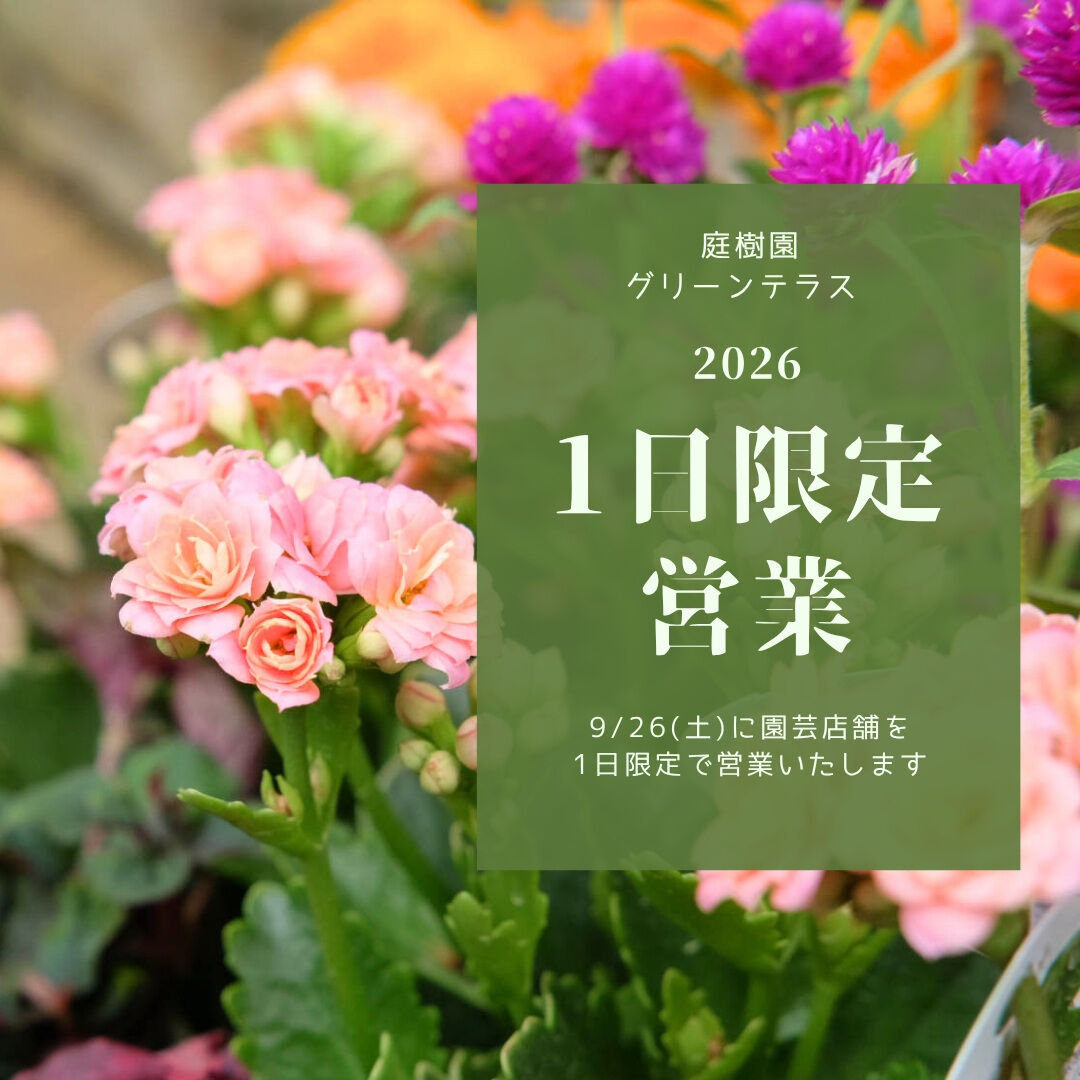 📣園芸店1日限定営業のお知らせ