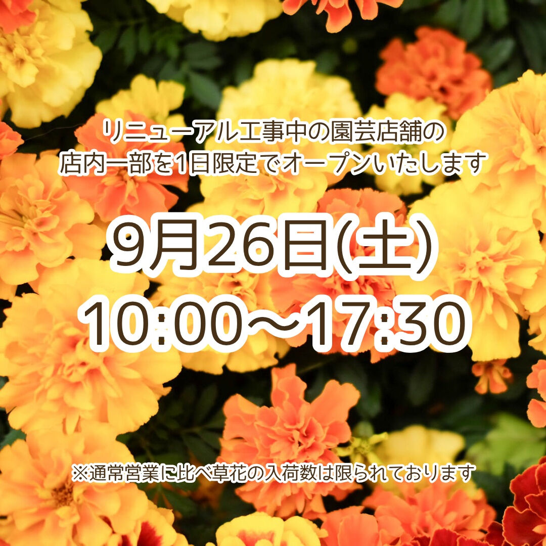 📣園芸店1日限定営業のお知らせ