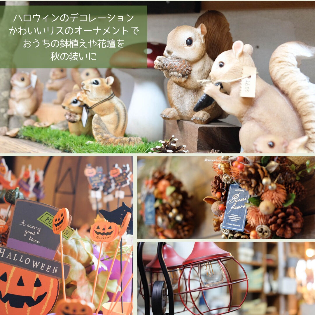 📣園芸店1日限定営業のお知らせ