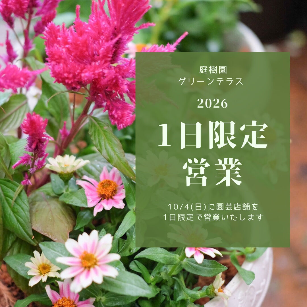 📣園芸店1日限定営業のお知らせ