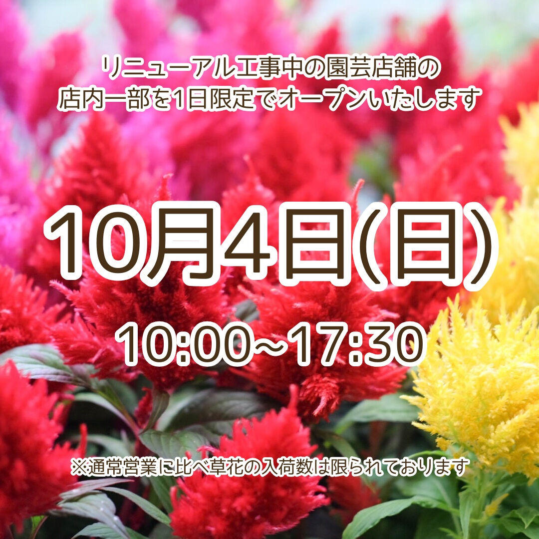 📣園芸店1日限定営業のお知らせ