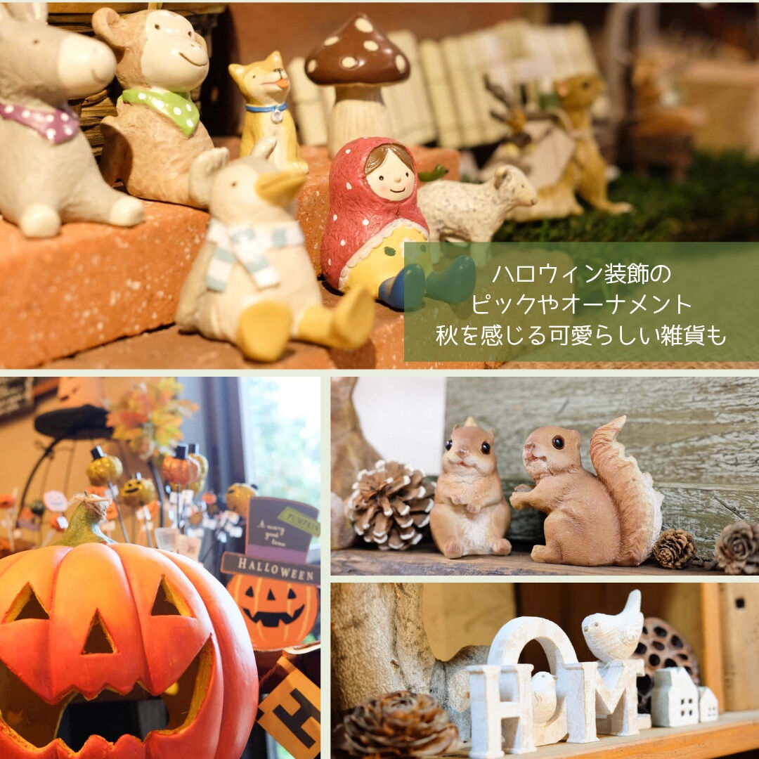 📣園芸店1日限定営業のお知らせ