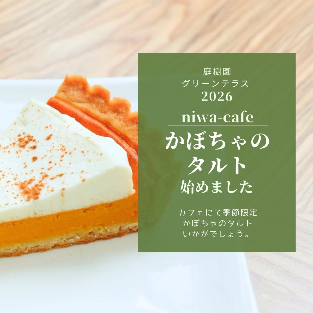 10月にもなり、ハロウィンまであと少しですね🎃