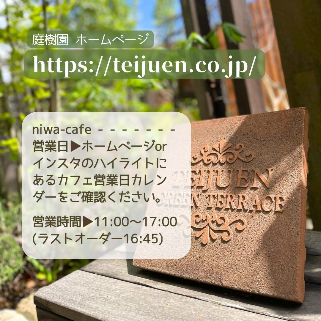 10月にもなり、ハロウィンまであと少しですね🎃
