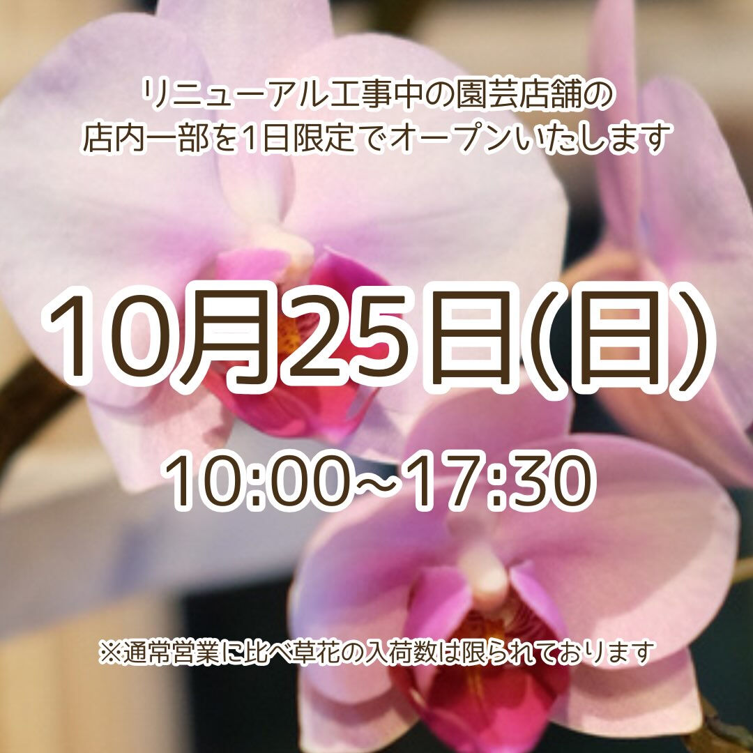 📢園芸店1日限定営業のお知らせ