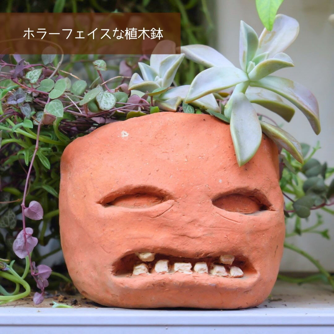 庭樹園グリーンテラスでは