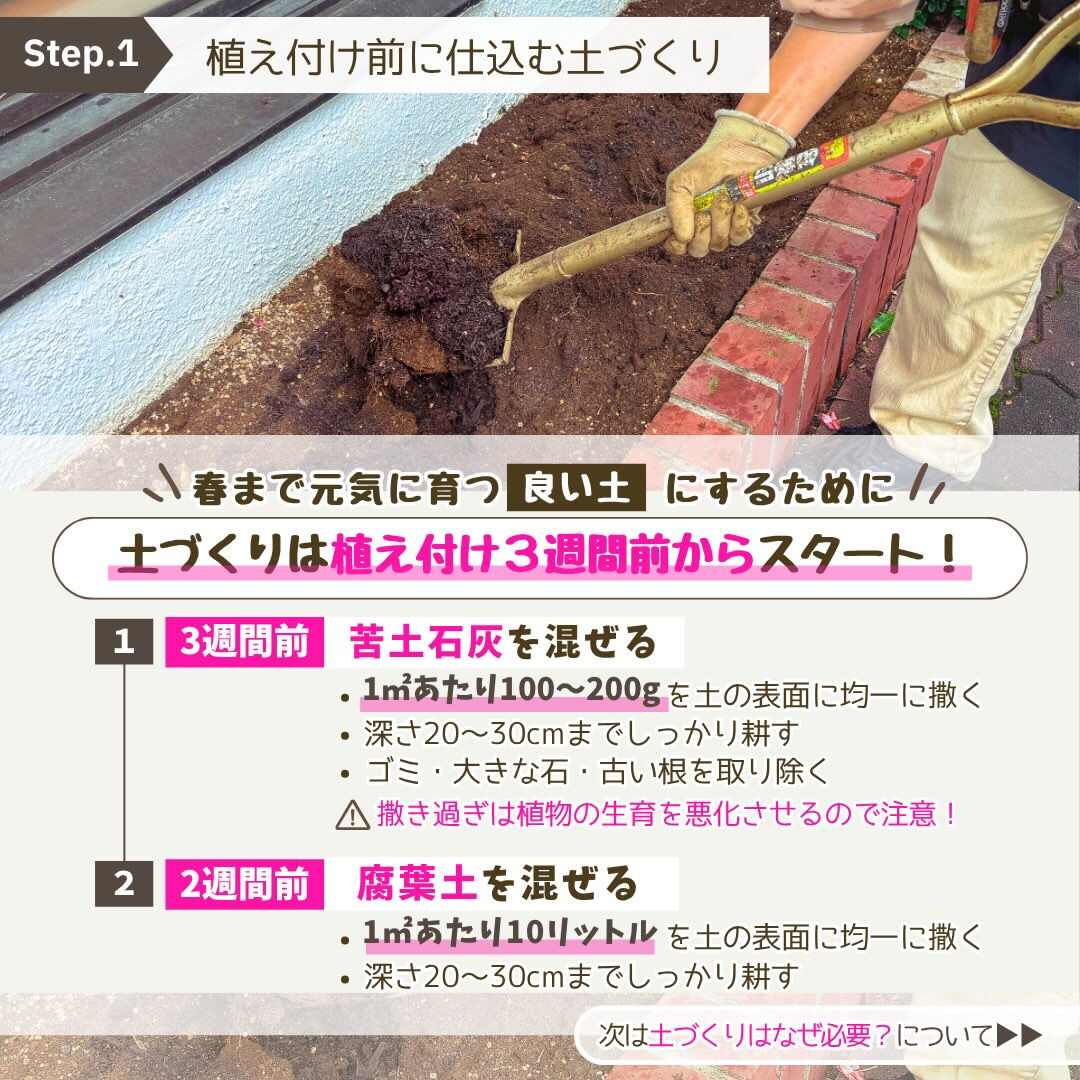 11月の園芸作業は「冬花壇の植え付け」です🪏