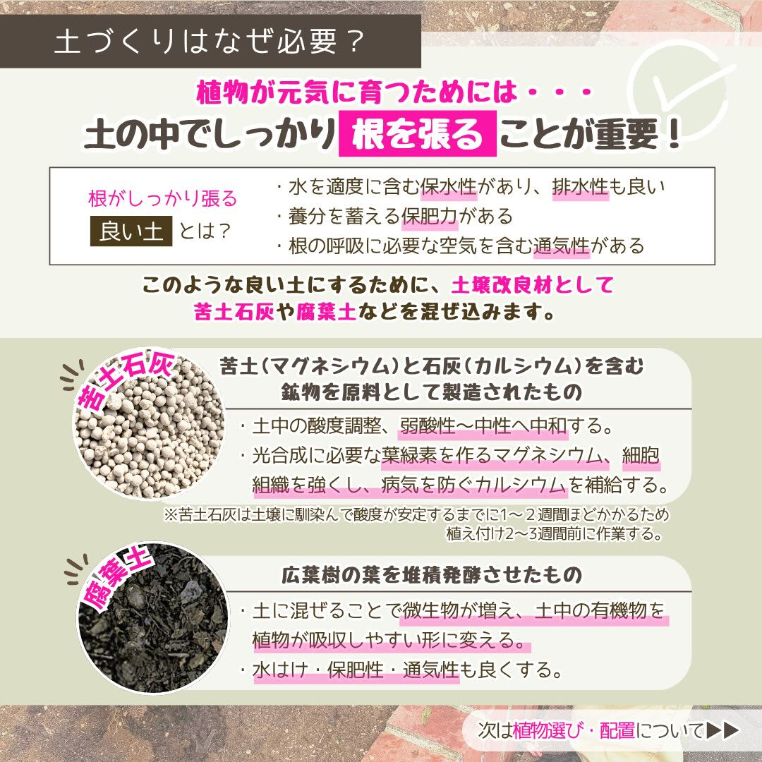 11月の園芸作業は「冬花壇の植え付け」です🪏