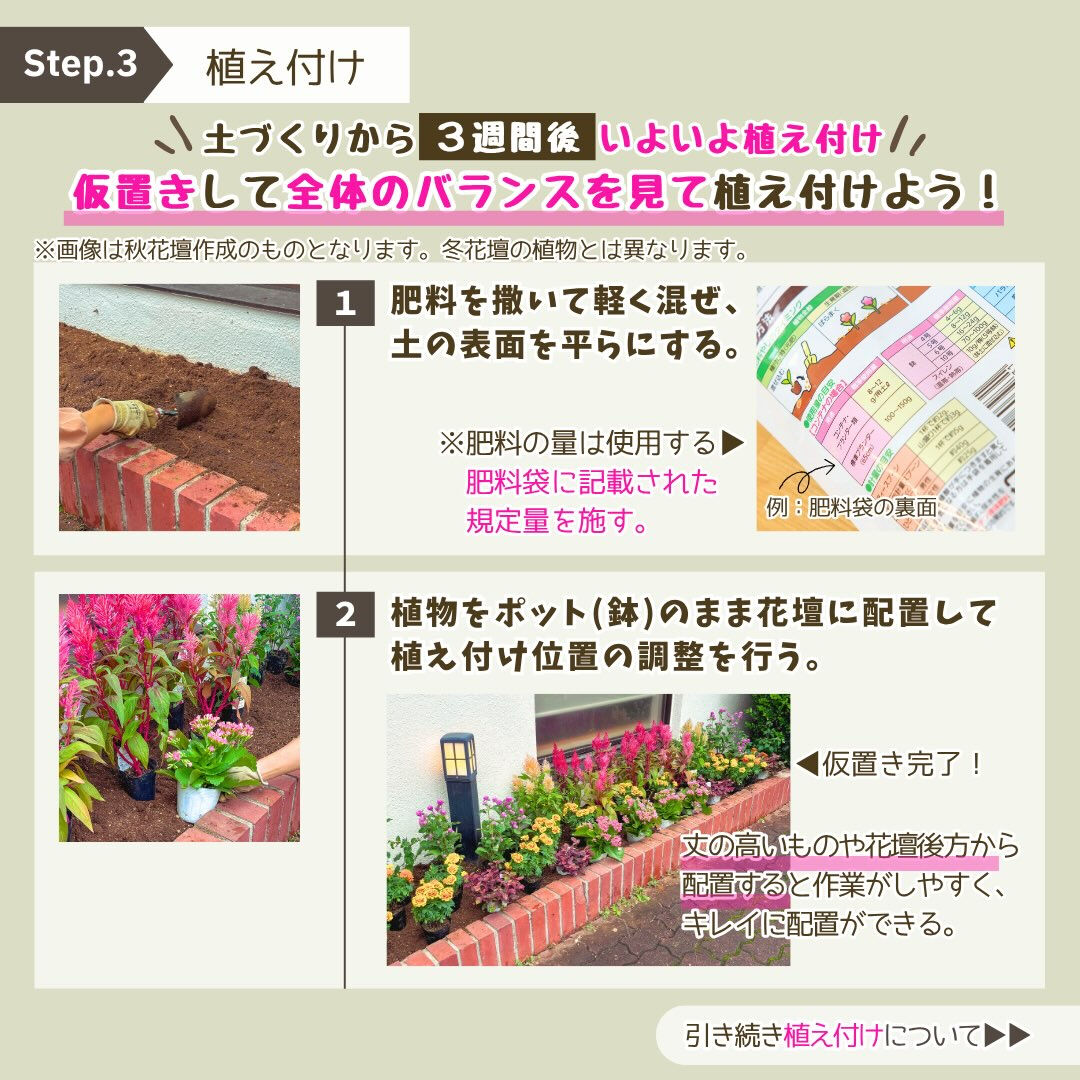 11月の園芸作業は「冬花壇の植え付け」です🪏