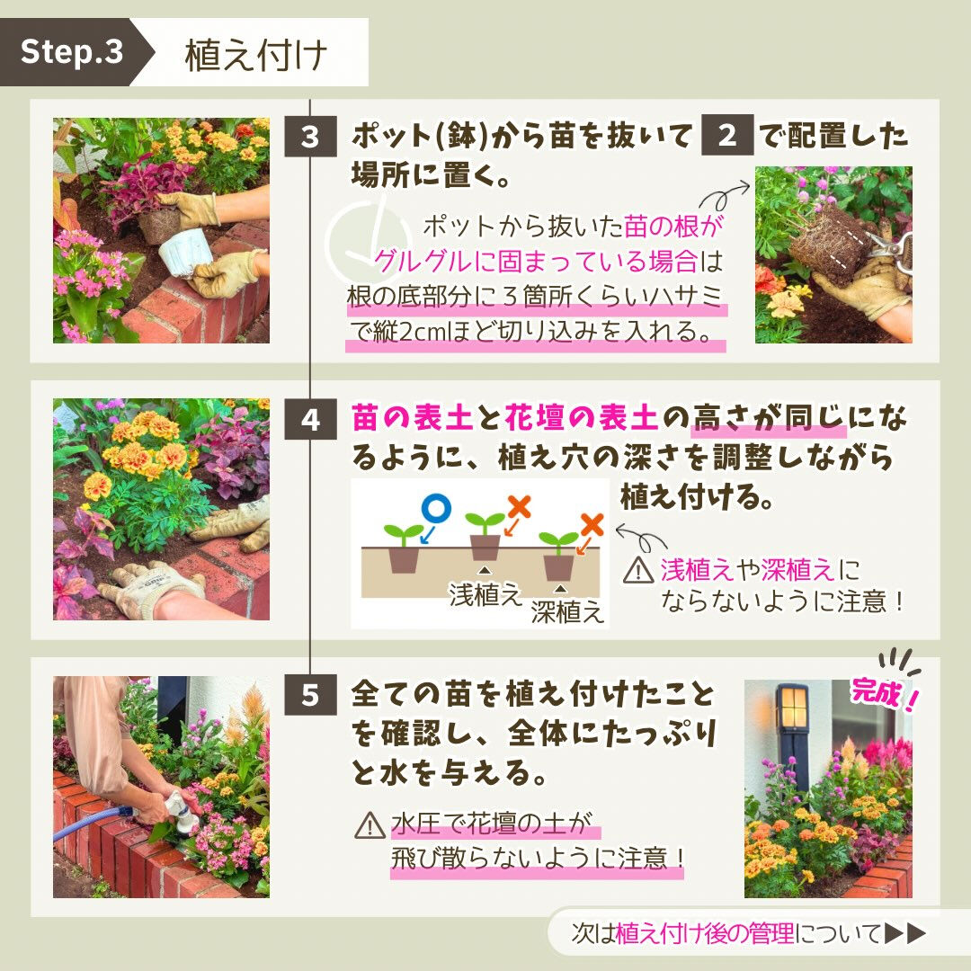 11月の園芸作業は「冬花壇の植え付け」です🪏