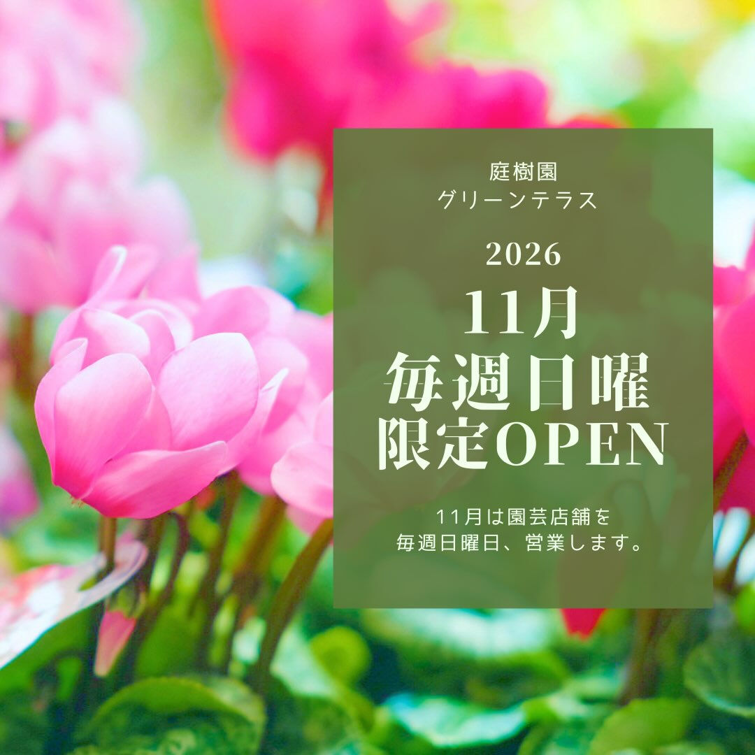 2027年2月頃まで、園芸店舗リニューアル工事中ですが、11