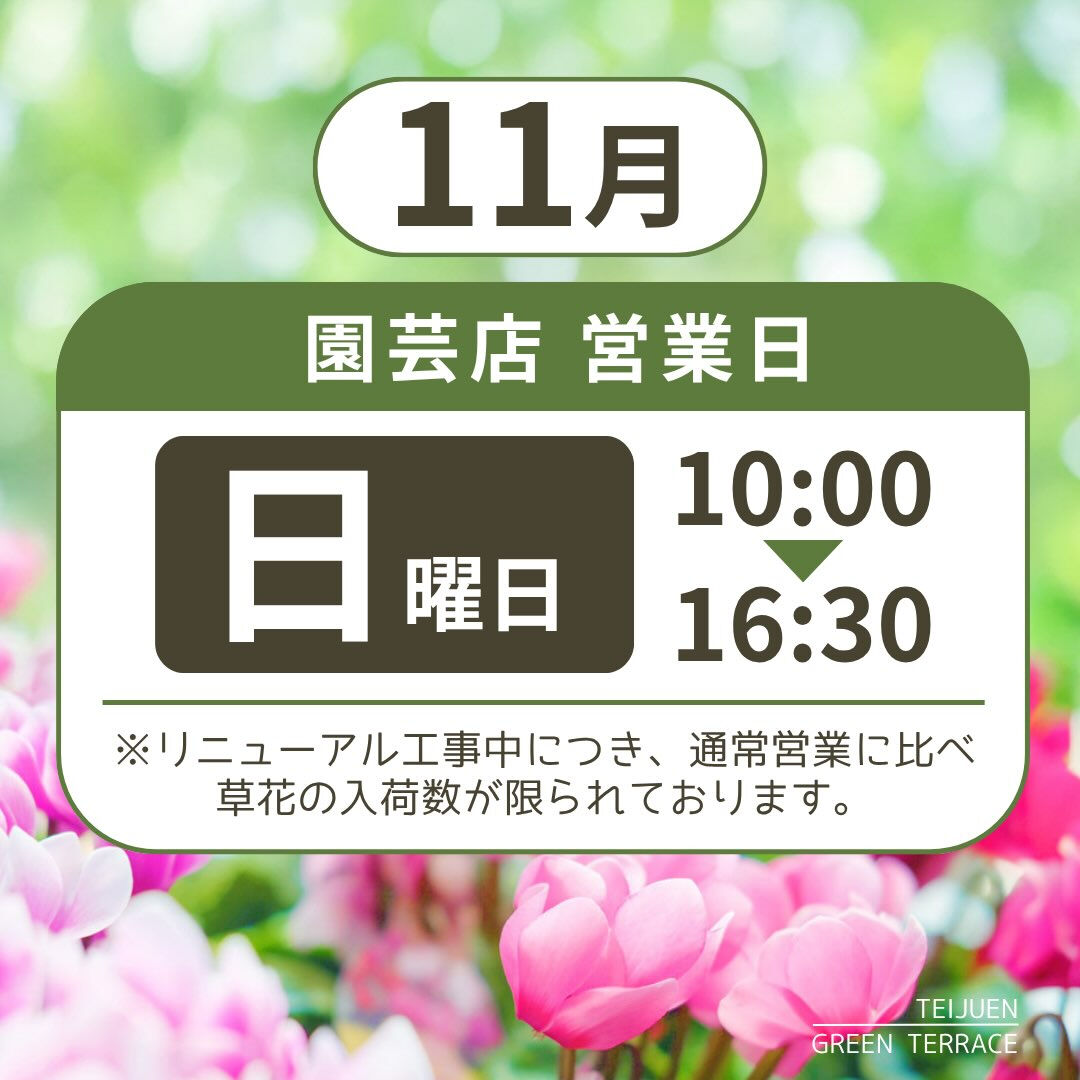 2027年2月頃まで、園芸店舗リニューアル工事中ですが、11