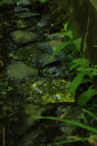 xe1_0109