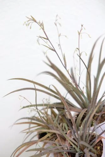 img_3489