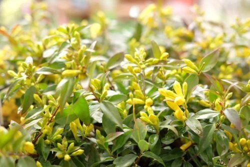 img_5122