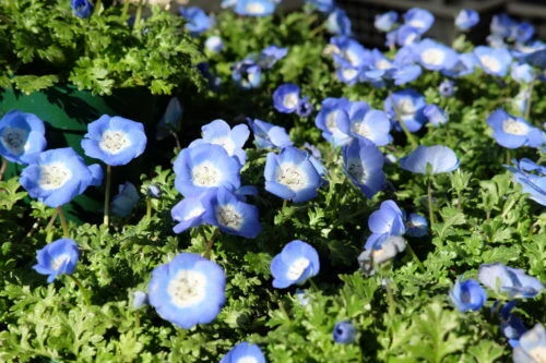 dscf8024