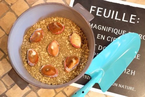 img_3692