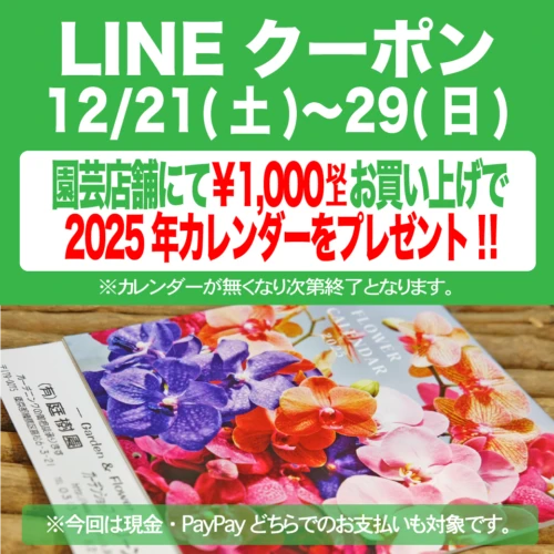 line%e3%83%aa%e3%83%83%e3%83%81%e3%83%a1%e3%83%83%e3%82%bb%e3%83%bc%e3%82%b7%e3%82%9920241221%e3%82%ab%e3%83%ac%e3%83%b3%e3%82%bf%e3%82%99%e3%83%bc%e3%83%95%e3%82%9a%e3%83%ac%e3%82%bb%e3%82%99