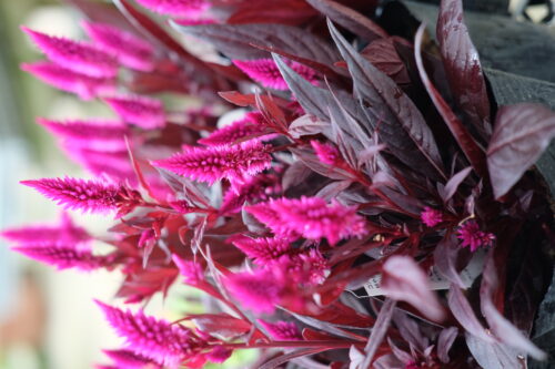 269d07fa-e76d-4233-a632-61014e0fc542-32376-00009e241903edab