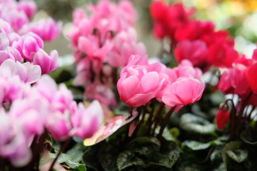 761e7c6b-2492-45fc-9571-0a646dbcc70a-28326-00009baee324a2c4