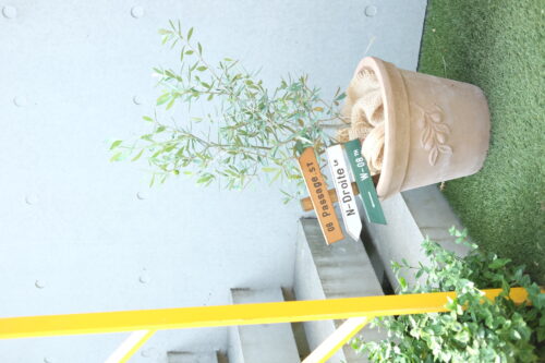 79a24d6a-8f55-4a1e-8616-a94d1496ae89-10234-00008f5ac6cc35b9