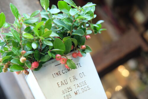 9c23db53-a820-474a-a967-5552c9cd5cdb-29169-00009c41d8238c54