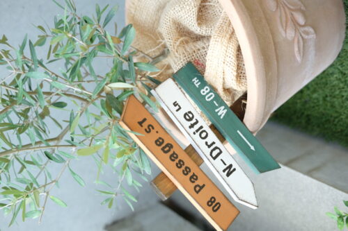 acc97981-0096-4812-8d2a-5ff3882dfbe0-10234-00008f5acfaa4d54