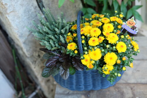 c00734ba-be30-4108-90eb-2918e0fc97ec-29169-00009c41c9a5dba9