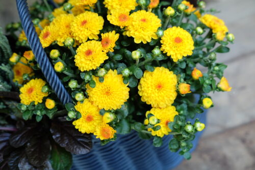 ef089bbe-9cf0-4237-aeae-3833024ea6f5-29169-00009c41cbb13189