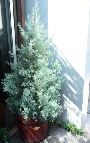 %e3%82%a2%e3%83%aa%e3%82%bd%e3%82%99%e3%83%8a%e3%82%a4%e3%83%88%e3%82%b9%e3%82%ad%e3%82%99%e3%83%bb%e3%82%b5%e3%83%ab%e3%83%95%e3%83%ac%e3%82%a2