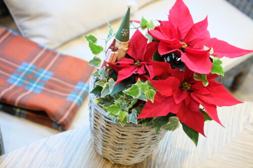 ae34452c-1467-4bf8-8548-6187899e8e8f-84748-0000c14dc9d50539