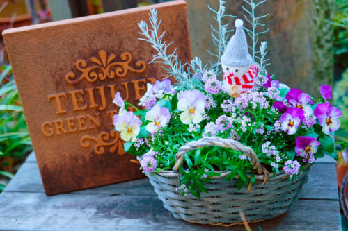 %e3%83%92%e3%82%99%e3%82%aa%e3%83%a9%e3%81%a8%e3%82%a2%e3%83%aa%e3%83%83%e3%82%b5%e3%83%a0%e3%81%ae%e5%af%84%e3%81%9b%e6%a4%8d%e3%81%88