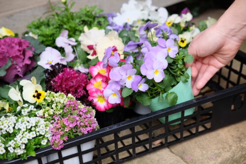 1c5a3552-8ce8-4051-8d0f-8a5f0f0d0372-24756-0000136ddc50a0c1