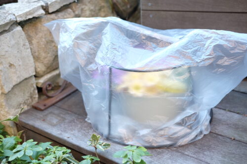 43336b7e-82db-47d5-a9b2-44d63f2d116d-22626-0000125b21bcea9b