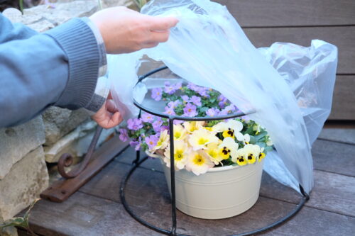 aa497d72-26f9-43df-9709-9d88482dfba5-22626-0000125b1d9732ea