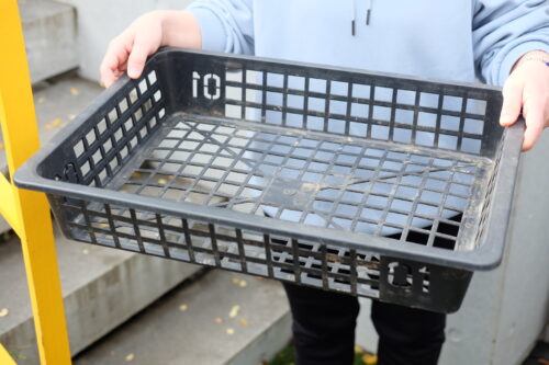 dc2f1b17-7494-41f6-99f8-ca5661e74430-24756-0000136de816a212