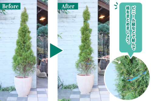 %e3%82%b3%e3%83%8b%e3%83%95%e3%82%a1%e3%83%bc%e7%b4%90%e3%81%a6%e3%82%99%e3%81%be%e3%81%a8%e3%82%81%e3%82%8b