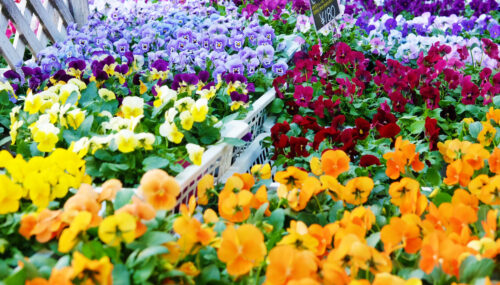 %e3%83%8f%e3%82%9a%e3%83%b3%e3%82%b7%e3%82%99%e3%83%bc%e3%83%92%e3%82%99%e3%82%aa%e3%83%a92k