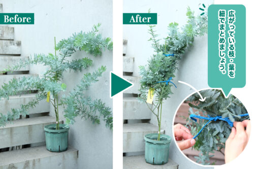 %e3%83%9f%e3%83%a2%e3%82%b5%e3%82%99%e7%b4%90%e3%81%a6%e3%82%99%e3%81%be%e3%81%a8%e3%82%81%e3%82%8b