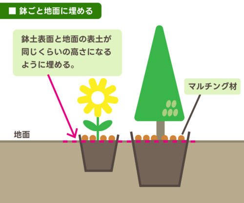 %e5%af%92%e3%81%95%e5%af%be%e7%ad%96_%e9%89%a2%e3%81%93%e3%82%99%e3%81%a8%e5%9c%b0%e9%9d%a2%e3%81%ab%e6%a4%8d%e3%81%88%e3%82%8b_%e6%b3%a8%e9%87%88%e3%81%82%e3%82%8a