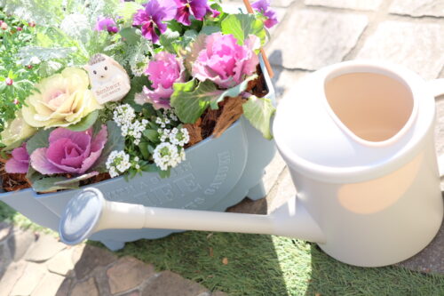 %e6%b0%b4%e3%82%84%e3%82%8a%e3%82%a4%e3%83%a1%e3%83%bc%e3%82%b7%e3%82%99b