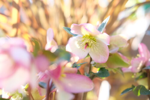 12a6ab7d-540b-413a-bf0c-5de46357dc1c-56205-000028ddad93398b