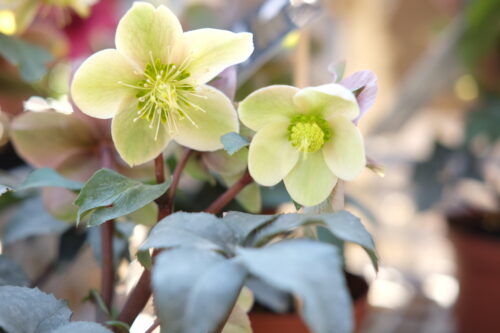 18e7e150-881a-4673-ad9a-463b6e54a4f9-56205-000028ddb5ee8669