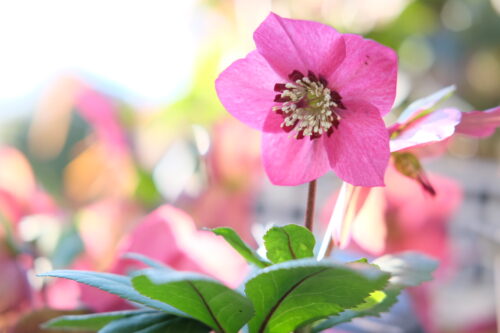 4fa038ee-4922-4c85-b3ac-57726307c9e2-56205-000028ddb11f748c