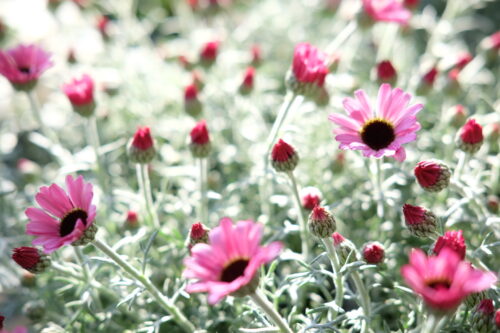 5fe7a50a-8c35-4038-be92-19268a63ecdb-56205-000028dd99c66546