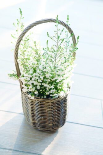 %e3%82%b9%e3%82%b9%e3%82%99%e3%83%a9%e3%83%b3%e3%82%a8%e3%83%aa%e3%82%ab_%e3%81%8b%e3%81%93%e3%82%99