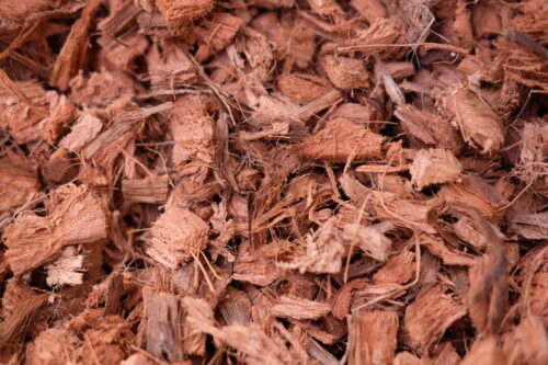 %e3%83%98%e3%82%99%e3%83%a9%e3%83%9b%e3%82%99%e3%83%b3